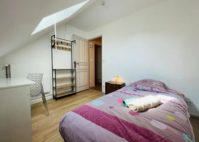 Casa Spacieuse * 昂热